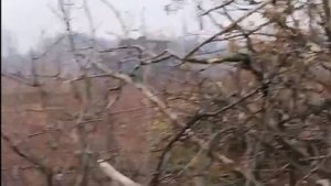 Бахарев К. фильм 3