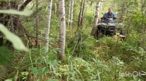 На избу в августе