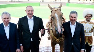 Гурбангулы Бердымухамедов подарил Ильхаму Алиеву ахалтекинского скакуна