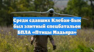 Среди сдавших Клебан-Бык был элитный спецбатальон БПЛА «Птицы Мадьяра»