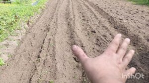 Картофеле копалка для мотоблока своими руками.