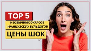 ТОП-5 самых дорогих разновидностей французских бульдогов
