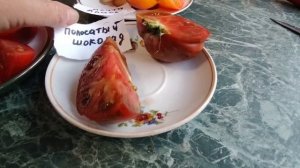 Томаты Люсид джем, Мечта Алисы, Полосатый шоколад, Жаркие угли