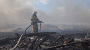 На птицефабрике в Челябинской области ликвидировали открытое горение