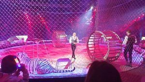 Большой Московский Государственный Цирк и100рия