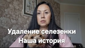 Удалили селезенку у возрастной собаки.