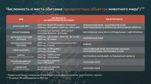 Создание инфографики для документального фильма