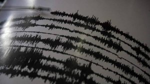 Два землетрясения магнитудой более 5,0 произошли у восточного побережья Камчатки