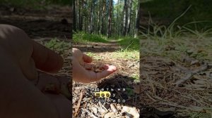 1000047541.mp4 Чувство Вины