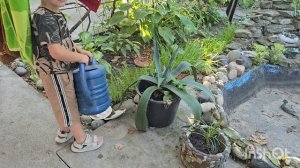 23.08.2025влог.приправа универсальная///приучать к советским мультикам😆