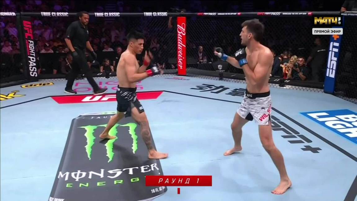 Йи Жа против Вестина Уилсона (видео). UFC Fight Night
