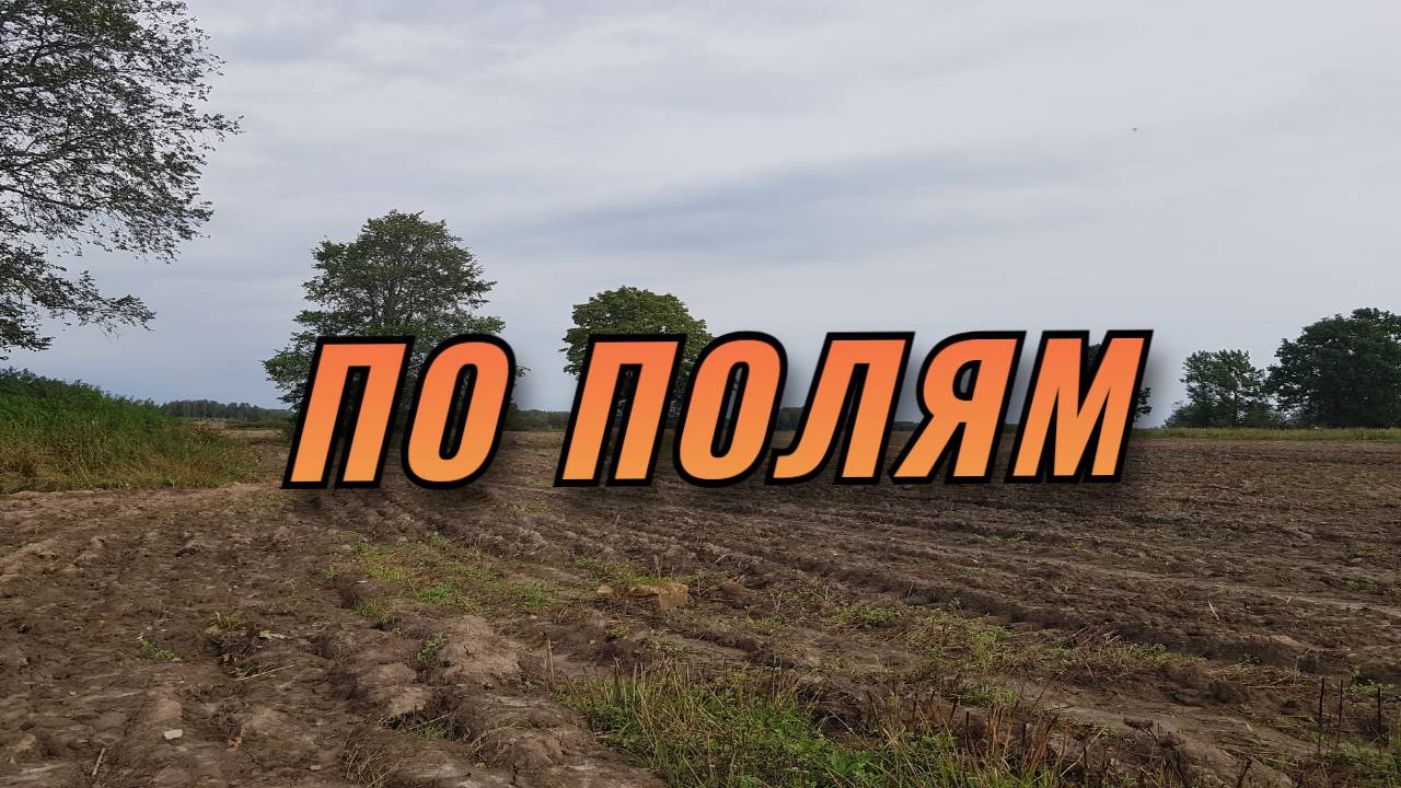 Разведка полей. смотреть онлайн