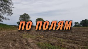 Разведка полей.