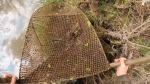 4 ДНЯ НЕ ПРОВЕРЯЛ ВЕРШУ. ПО ЗОДУ ОПОЗДАЛ.