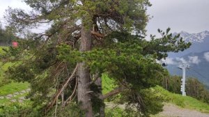 Архыз в дождь особо интересен