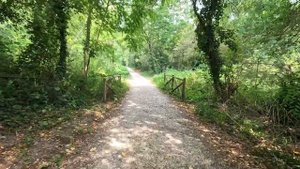 ПОЧЕМУ УКРАИНА НИКОГДА НЕ БУДЕТ ЕВРОПОЙ ❗