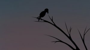 не кидайтесь камнями