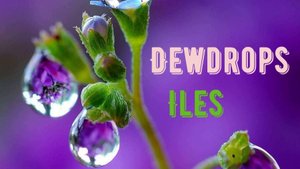 Очень Красивая Музыка - Очень Красивые Капельки Росы!