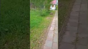 Дом д. Площево