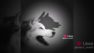 Это видео выйграло этот тренд