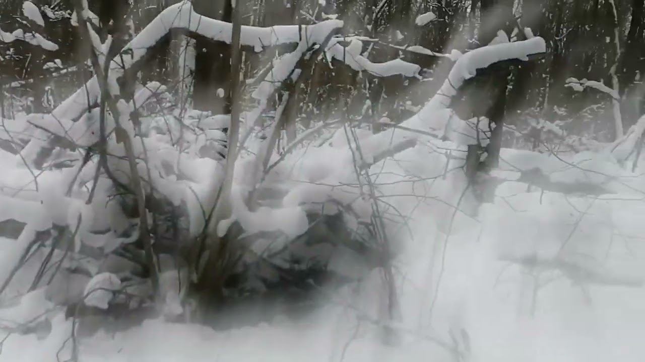 без следа смотреть онлайн