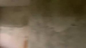 Помещения свободного назначения 95 кв.м. Цокольный этаж. г.Черепаново