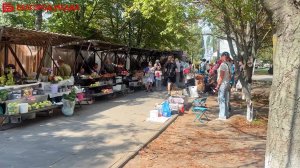 В Белгороде провели разъяснительную работу в местах стихийной торговли🥒