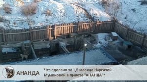 Как выживает самый большой собачий приют Бурятии?