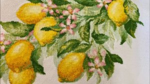 Вышивка Сочные лимоны