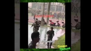 Сборник №58. Веселые моменты из самой обычной жизни! =)