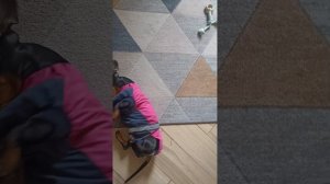 такса подборка с Диной