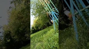 нас всех съелии1 сезон 1 серия