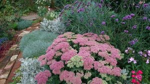 Прогулка по садику Сентябрь 2021