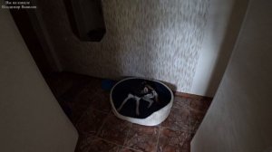 С Ритой провожаем Люду. Мася или Бася. 19.08.2025.