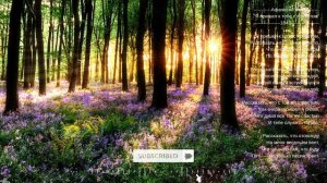 Афанасий Фет "Я пришел к тебе с приветом"1843