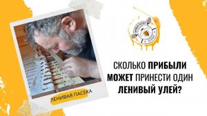 ЛЕНИВАЯПАСЕКА.РФ Сколько прибыли может приносить своему владельцу один ленивый улей?