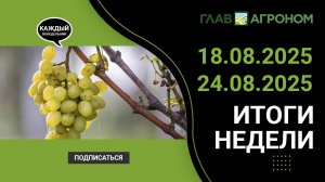 Итоги недели с ГлавАгроном. Агроновости 18.08.2025 - 24.08.2025