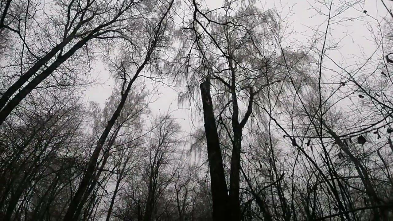 Удачный день смотреть онлайн