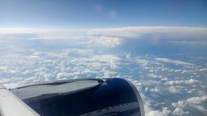 Airbus A319, а/к Аврора. Владивосток - Хабаровск, SU5602, июль 2025