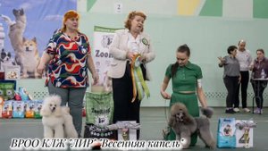 09.03.2025 Весенняя капель