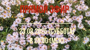 Анонс Эфира 23.08.2025
