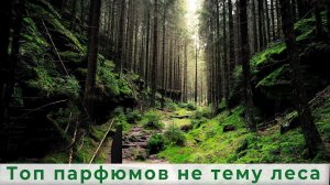 Топ парфюмов на тему леса