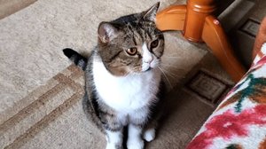 Я согласен. Гладь меня