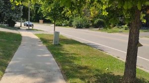 Канадский калейдоскоп. Канада сдала назад, убийство ребёнка и шумный мультикультурализм. 22.08.2025.