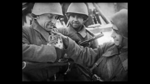 Кошки с мышами – не враги, а союзники Красной Армии