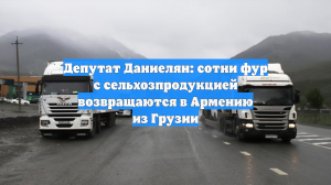 Депутат Даниелян: сотни фур с сельхозпродукцией возвращаются в Армению из Грузии