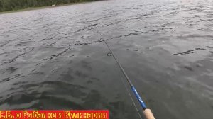 ВОТ ЭТОТ ОКУНЬ ГОРБЫЛЬ ЧУТЬ ПЛЕТЕНКУ НЕ ОБОРВАЛ ПРИ ПОКЛЕВКЕ.