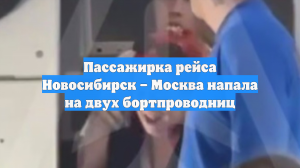Пассажирка рейса Новосибирск – Москва напала на двух бортпроводниц