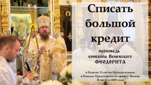 "Списать большой кредит". Епископ Венёвский Феодорит.