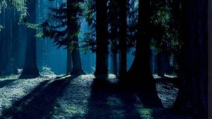 Я не помню название этого меме 😑